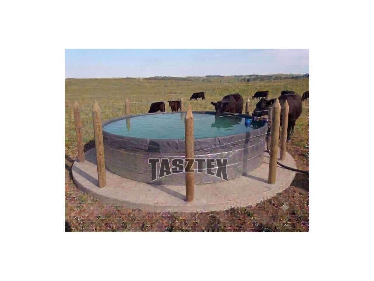 TANQUE BEBEDERO ESTANDAR